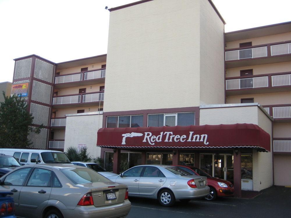 Oasis Hotel North Myrtle Beach Luaran gambar